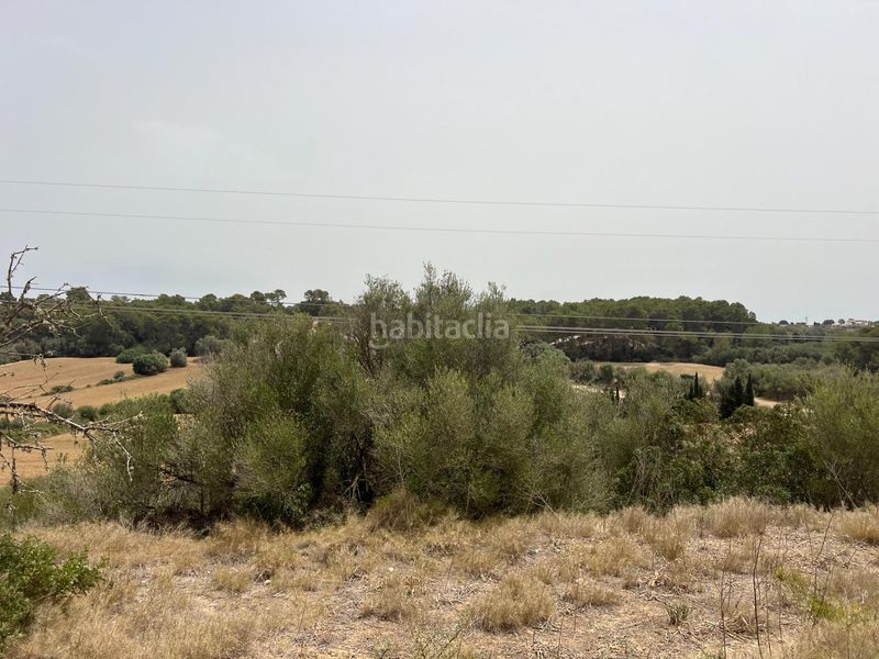 Foto 8562ad6a-3e04-453b-942d-909b215d56b0. Finca rústica a Muro