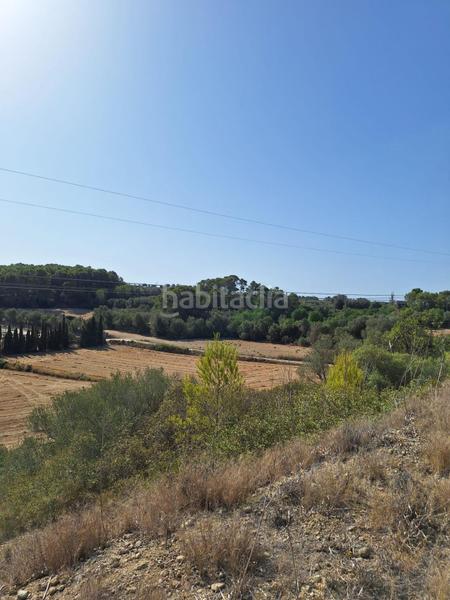 Foto 8a1f4fe0-c633-48f7-b877-a15cfe21e56c. Finca rústica terreno en venta en Muro