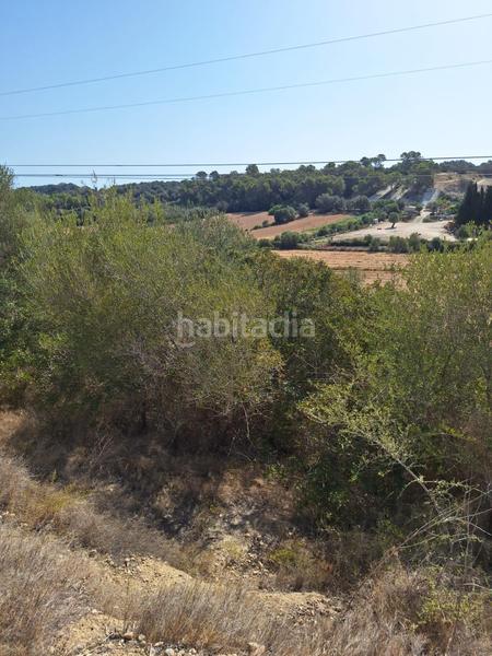 Foto 93a76721-aa34-47c4-b09f-73173e1e0754. Finca rústica terreno en venta en Muro