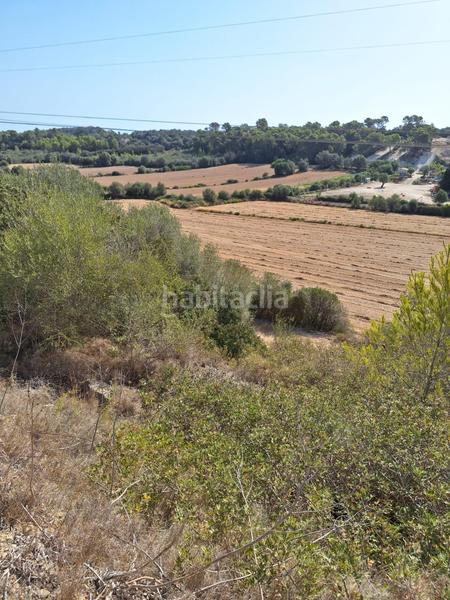 Foto 95db80eb-3792-4111-972b-97cae3bc7482. Finca rústica terreno en venta en Muro