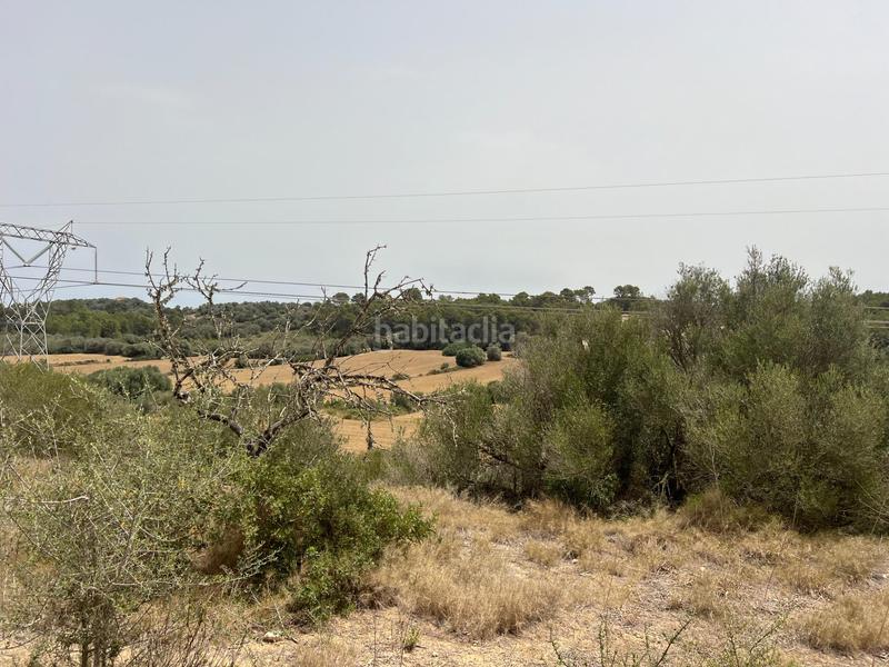 Foto 962c6415-af2c-4caf-89f4-e655f8ff81f6. Finca rústica terreno en venta en Muro