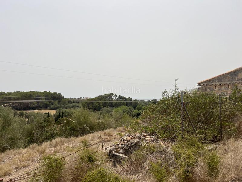 Foto 9aabd416-7215-4f1f-9f27-f4df53084aac. Finca rústica terreno en venta en Muro