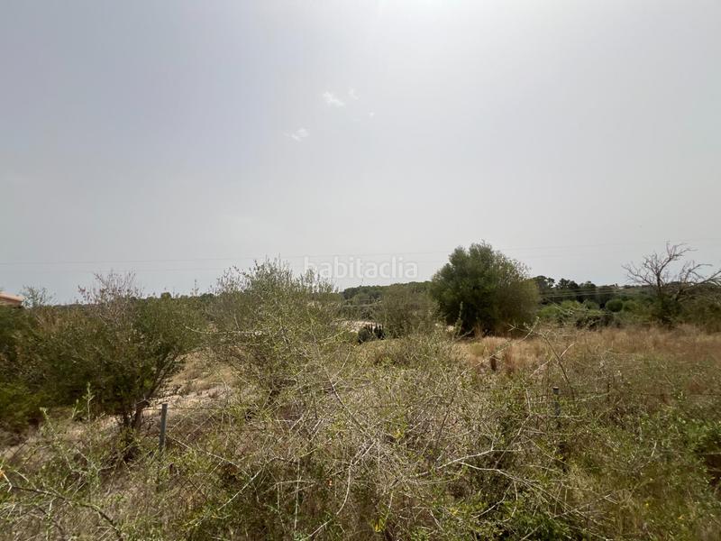 Foto a7eb0b76-afe3-40cf-93b9-733ae9ea806f. Finca rústica terreno en venta en Muro