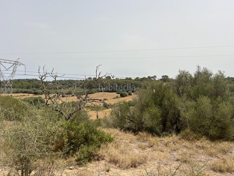Foto bbbbed43-e2f2-4201-a182-382c3ba5840e. Finca rústica a Muro