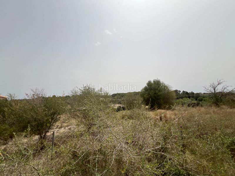 Foto c309685e-621e-4eac-b086-52af531afa73. Finca rústica a Muro