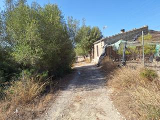 Finca rústica en Muro. Terreno en venta en muro