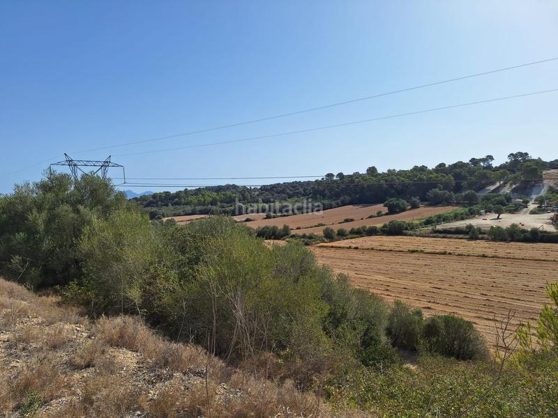 Foto f547a6e5-8e27-42b7-a893-8dae5d63dd83. Finca rústica terreno en venta en Muro