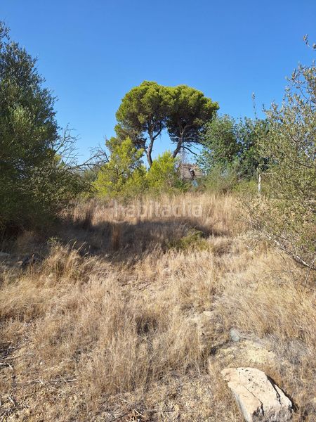 Foto f5a2664b-80b6-489c-8b81-d9d60a6268f6. Finca rústica a Muro
