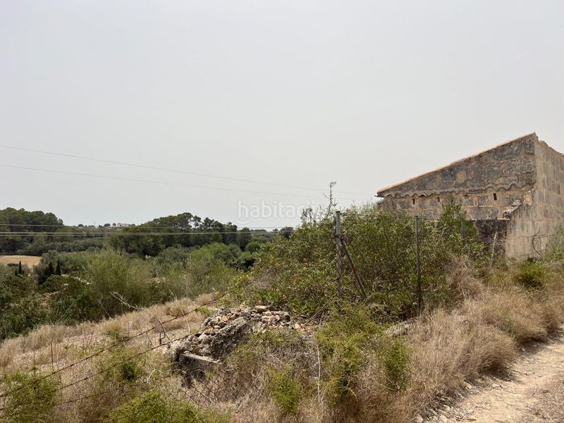 Foto f6abe0d9-e2d1-41e9-aa04-e2e7c0dfc2c0. Finca rústica a Muro