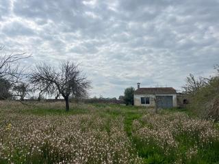 Masia a Santa Margalida Poble. Finca rustica en venta