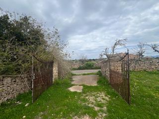 Masia a Santa Margalida Poble. Finca rustica en venta