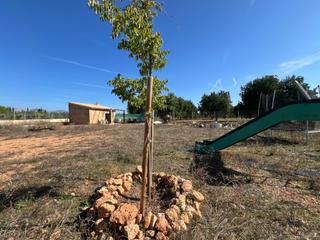 Terreno residencial en Santa Eugènia. Terreno con caseta en santa eugenia