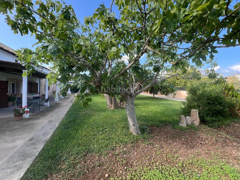 Foto 3b137544-3978-4fc1-b08b-c041bfa23419. Rent country house with parking pool in Centro Inca