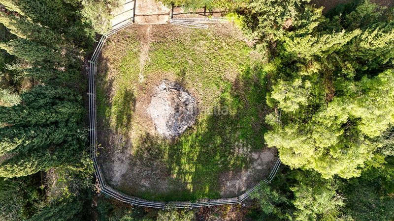 Foto 02aa0705-12e5-4723-bf36-e3632c7e74bd. Masia amb aparcament piscina a Son Amonda - Reis Catòlics Inca