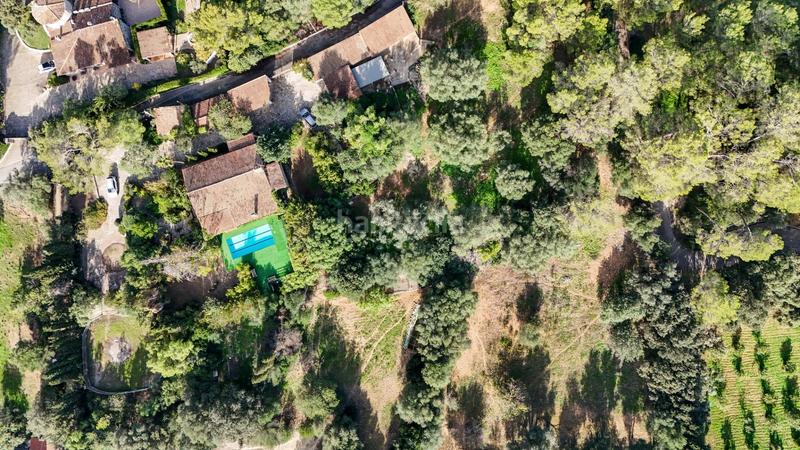 Foto 1c8af2b8-7f75-4964-a3e4-c7e6197d0dd9. Masía f rustica con piscina en Son Amonda - Reis Catòlics Inca