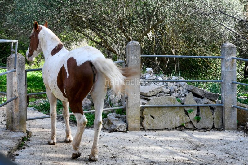 Foto 68b47e8a-d149-4348-ae25-88ea2a63f4c5. Masia amb aparcament piscina a Son Amonda - Reis Catòlics Inca