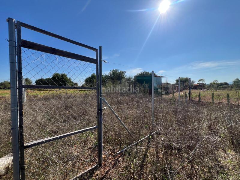 Foto 7e2f4fe8-0867-442c-8b4b-be77492c6907. Casa amb aparcament a Santa Eugènia