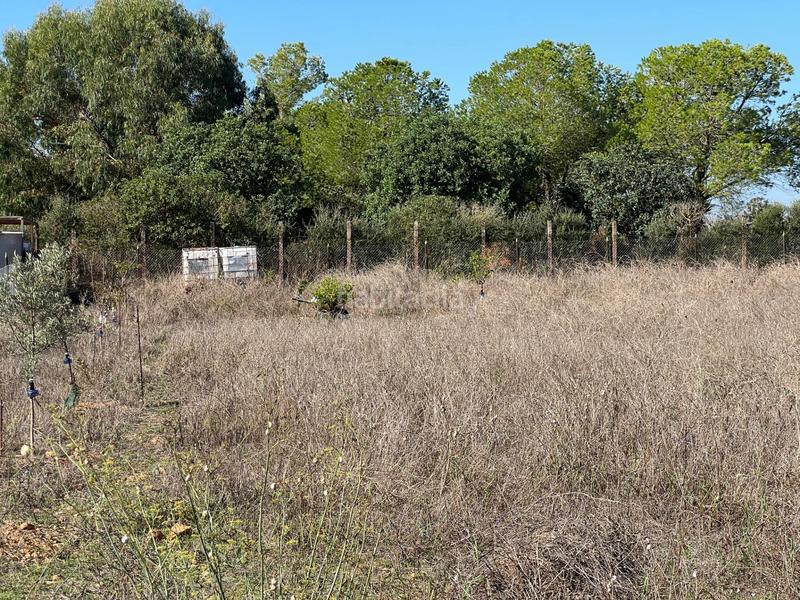 Foto bb1f91d9-a150-4861-854c-8643598bc1a6. Casa amb aparcament a Santa Eugènia