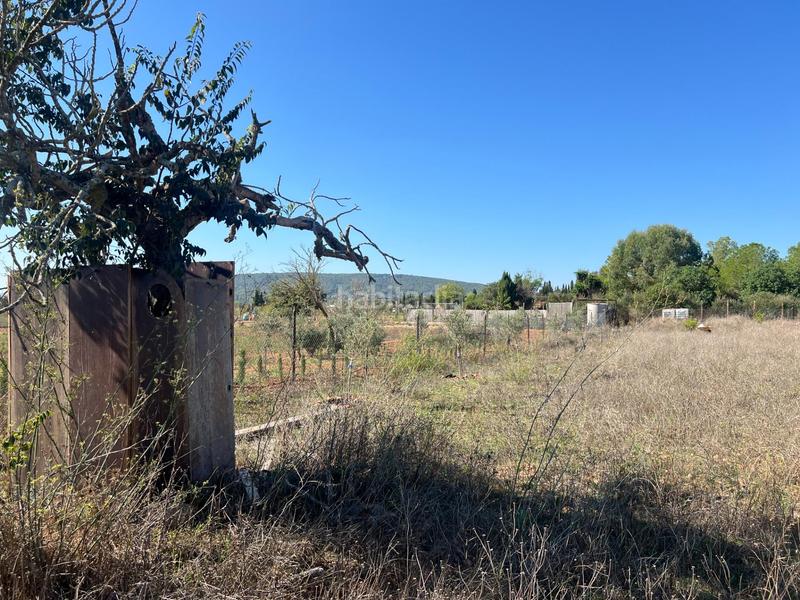 Foto e05cc2b4-7570-4547-a619-d1219241784e. Casa amb aparcament a Santa Eugènia