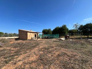 Casa en Santa Eugènia. Terreno con caseta en santa eugenia