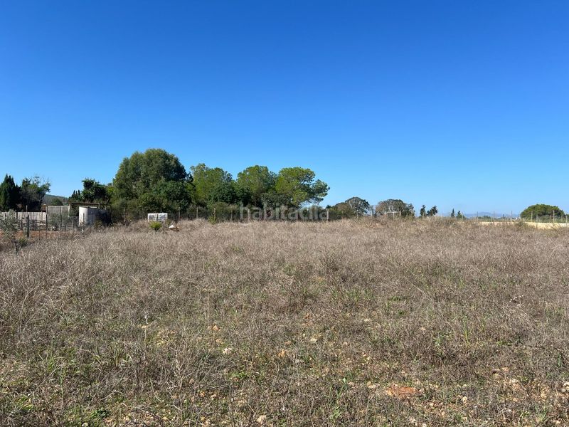 Foto 034b91ee-9e71-453d-9163-818282251a99. Finca rústica a Santa Eugènia