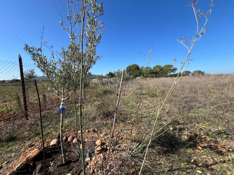 Foto 117b1b32-450a-4321-8836-1fc685ee1138. Finca rústica a Santa Eugènia