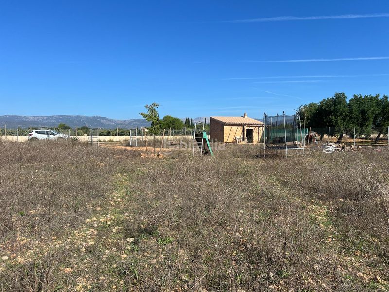 Foto 47e60497-a468-45b7-8f0e-70702824db8c. Finca rústica a Santa Eugènia