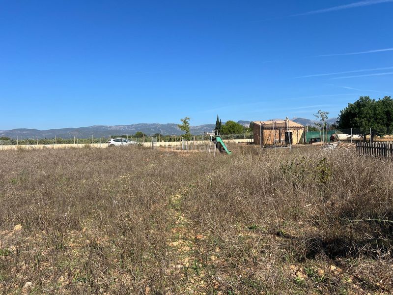 Foto 7105f728-4735-46e3-823b-bb149896ae35. Finca rústica a Santa Eugènia