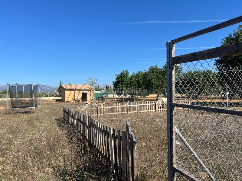 Foto 7aa6ea50-a5e3-4b88-a26c-7bb7c1e96d3b. Finca rústica a Santa Eugènia