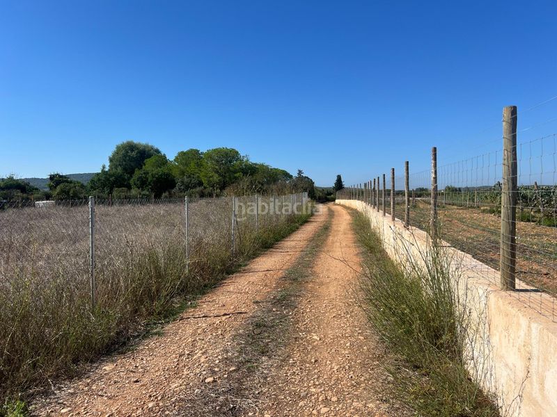 Foto 877d30a0-5132-480f-8a50-034066ba917e. Finca rústica a Santa Eugènia