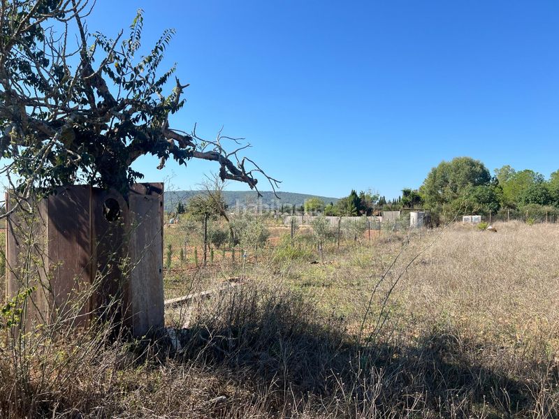 Foto df84047a-044d-4006-9c01-c16af06bc18e. Finca rústica a Santa Eugènia