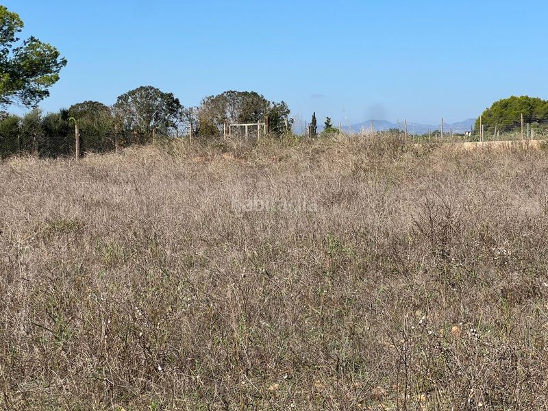 Foto eb8e44f5-4349-4441-93f8-b42cce372b85. Finca rústica a Santa Eugènia
