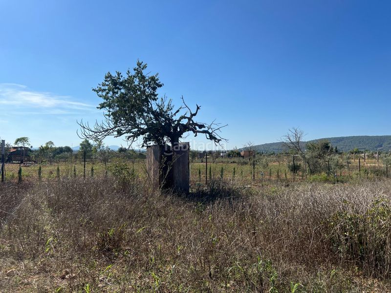 Foto efb3ffe0-b8f3-497b-a6d1-fec05c13243f. Finca rústica a Santa Eugènia