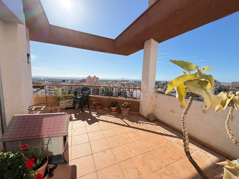 Foto e176d8db-3661-4059-b594-f56e85ad6825. Àtic amb aparcament a Son Amonda - Reis Catòlics Inca