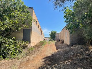 Mas à Ariany. Finca en venta en ariany