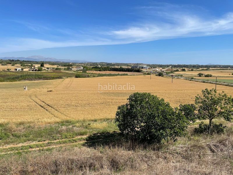 Foto e4684af5-d159-4da5-b528-4c11fb14c1f7. Masia amb aparcament a Ariany