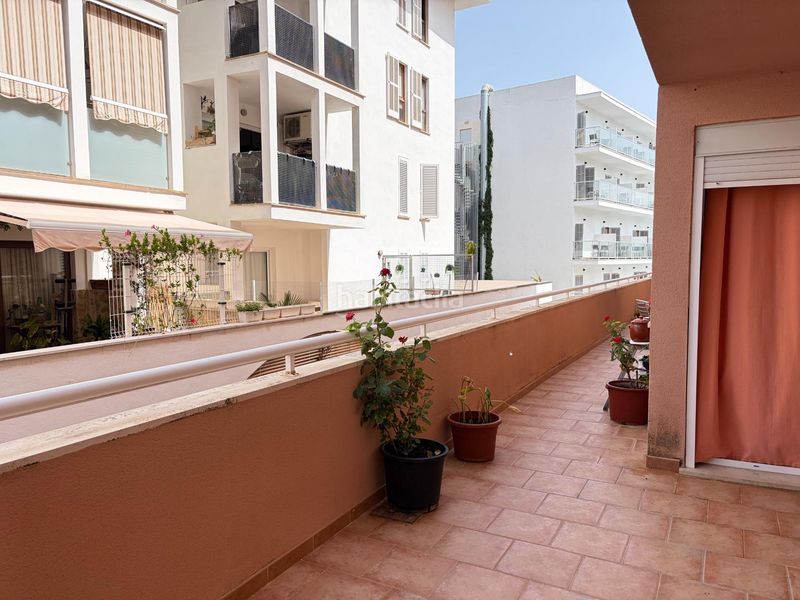 Foto d1552a35-dd6d-400a-a221-a18234d48935. Pis a port d´Alcúdia-platja dálcúdia Alcúdia