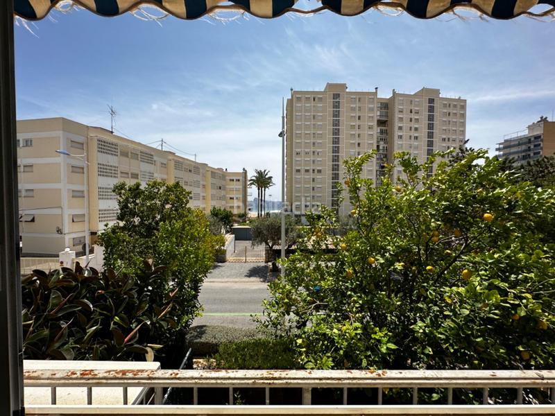 Foto b248d062-1bc5-4515-8512-82cafebd4cf6. Apartament amb aparcament a Playa Poniente Benidorm