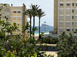 Apartament en Playa Poniente. Apartamento en benidorm calle santander