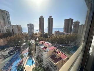 Lloguer Apartament a Playa Levante. Se alquila apartamento de 2 habitaciones en benidorm