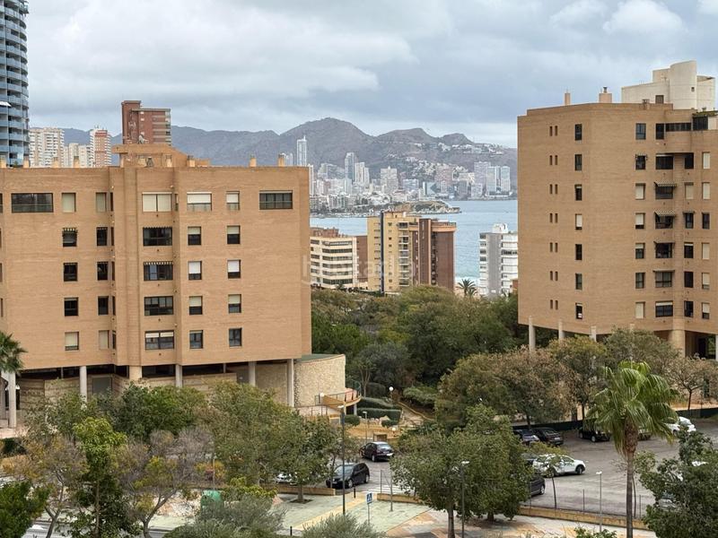Foto 05498c01-1604-4054-b1ed-f9325ce51df4. Appartement avec parking piscine dans Playa Poniente Benidorm