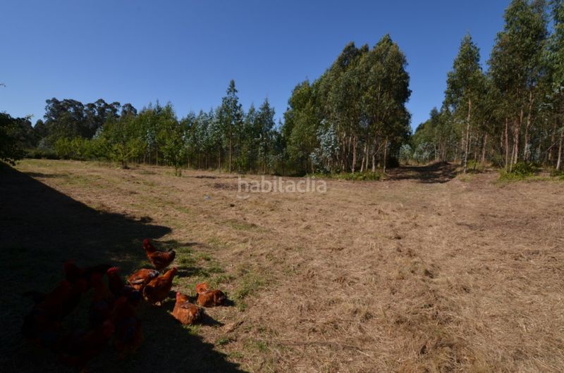 Foto bd7c596b-24e0-4ce8-93f8-6e1f09a8ded4. Casa amb aparcament a Coirós