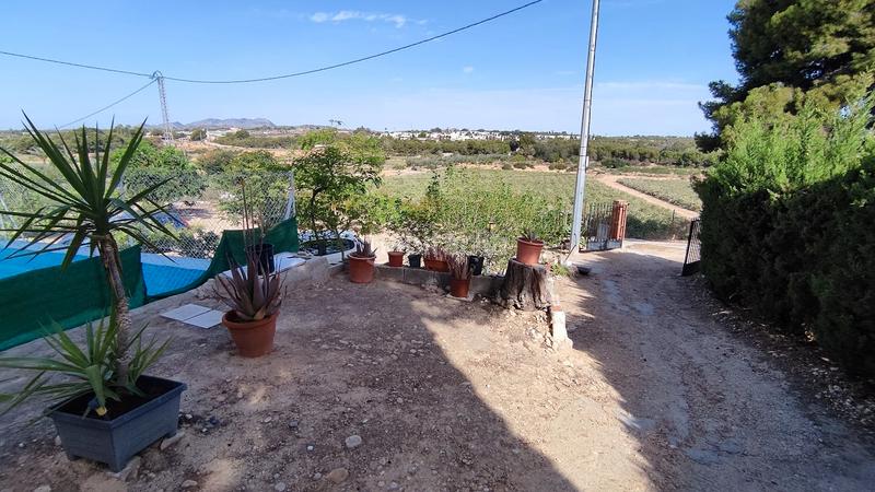 Foto da52397e-789d-417f-8a7c-b6d110f461e4. Casa con piscina in Peña de las Águilas Elche / Elx