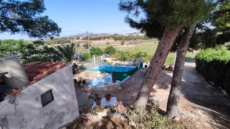 Foto 760da7a1-f4d3-4c4e-9f0e-669c09412857. House with pool in Peña de las Águilas Elche / Elx