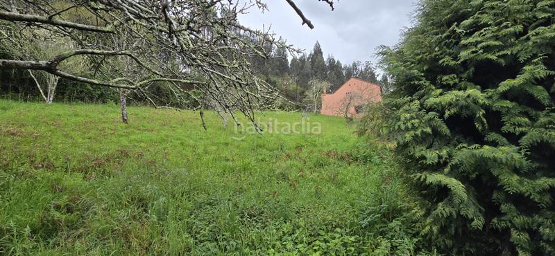 Foto 4420a5a4-48f2-49c0-96c8-ca24902b059a. Terreno residenziale in Bergondo