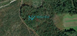 Rural plot in Ponteceso