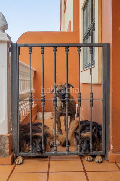 Foto 50c48727-5081-4ebd-add1-272d1ebed783. Casa bifamiliare in calle el castillo 24 in Longuera - Toscal Realejos (Los)