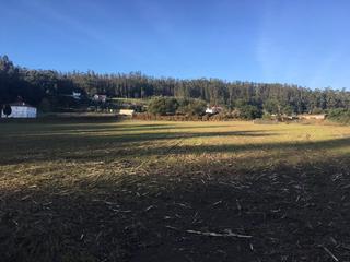 Terreno residenziale  Aldea o rial. Venta finca edificable en o rial