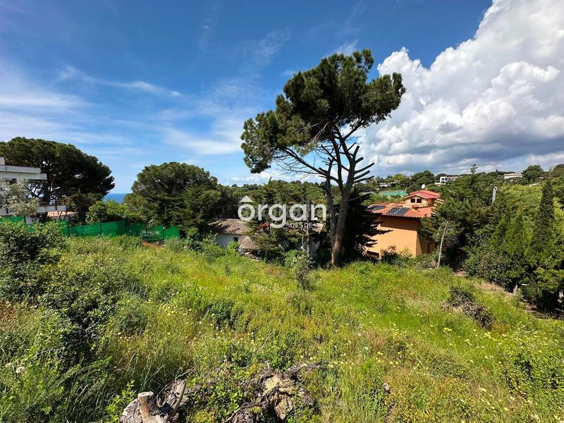 Foto 60bc9249-ffaa-48bd-94f5-b00c6a8d288c. Propriété dans Montgoda Lloret de Mar