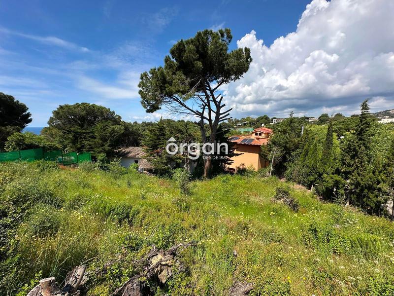 Foto ceb5a937-45d5-4e0c-8b3f-c4395a0dc91e. Propriété dans Montgoda Lloret de Mar